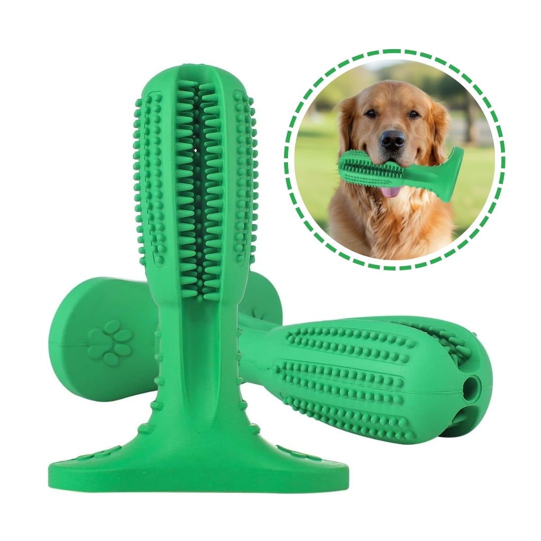 Meyvo. Dientes Limpios sin Estrés