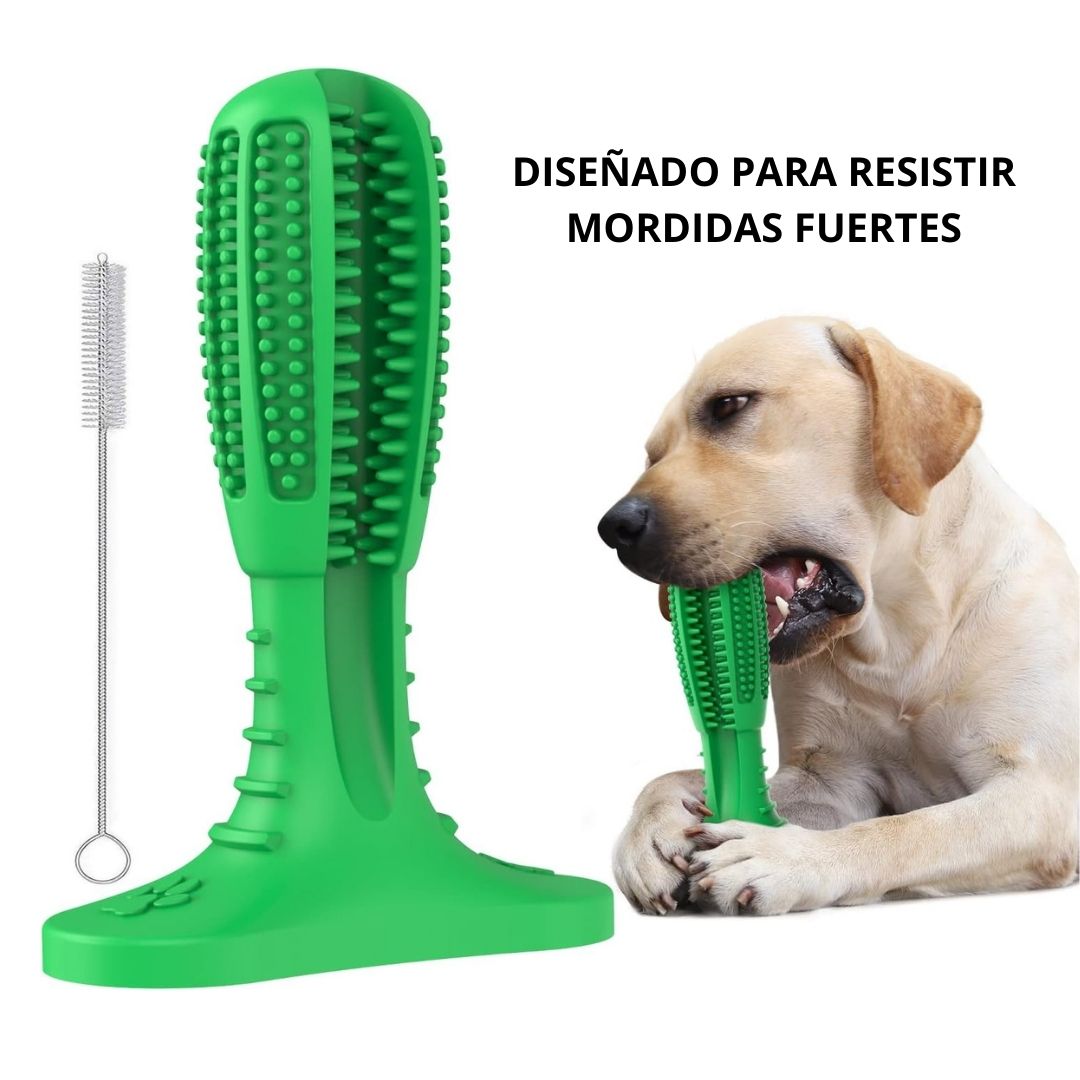 Cepillo Dental Canino