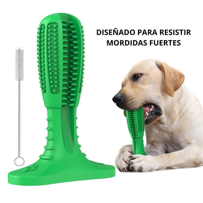 Cepillo Dental Canino