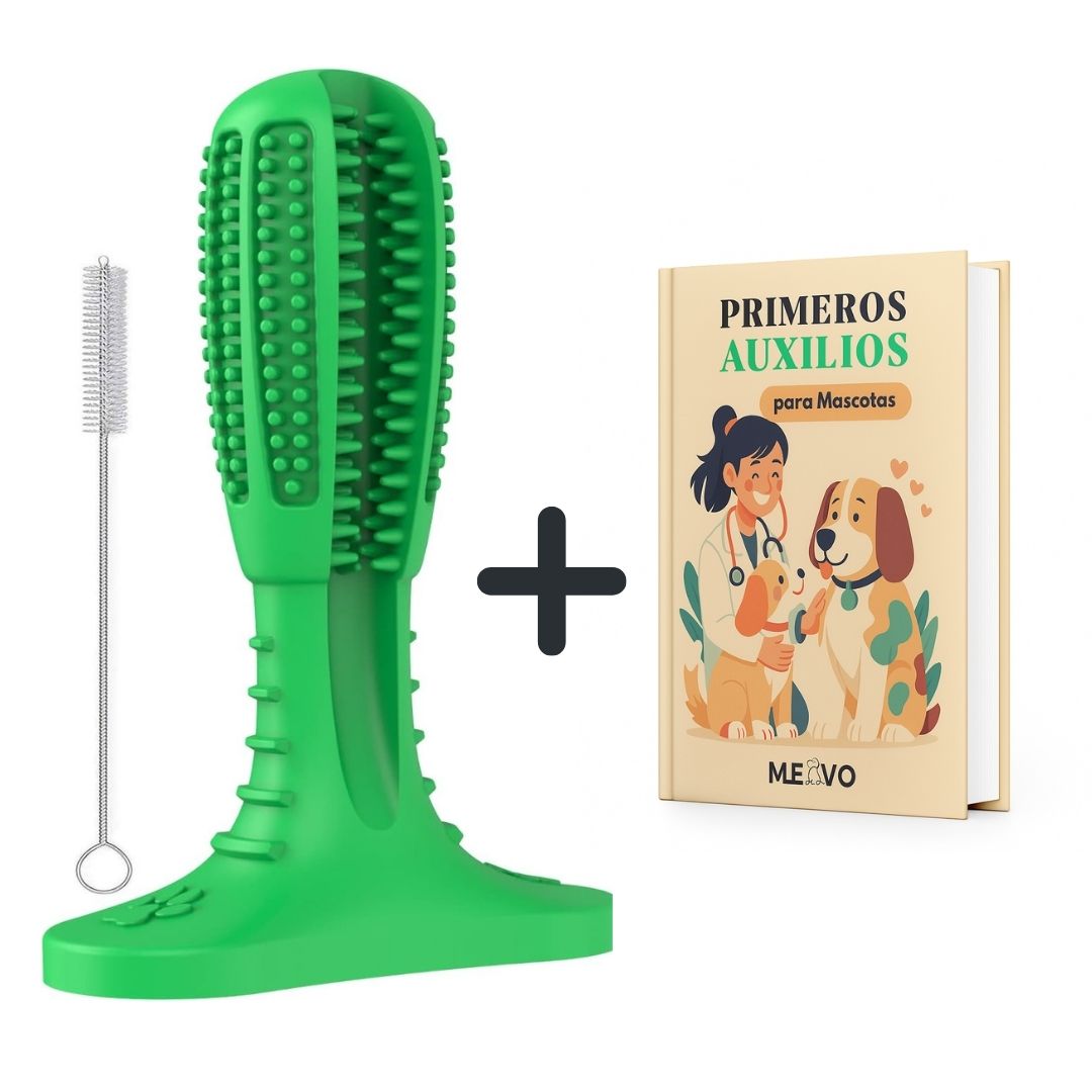 Meyvo. Dientes Limpios sin Estrés