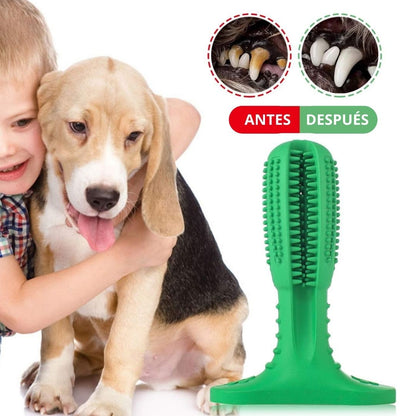 Cepillo Dental Canino