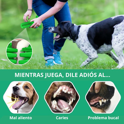 Cepillo Dental Canino